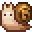 かたつむり